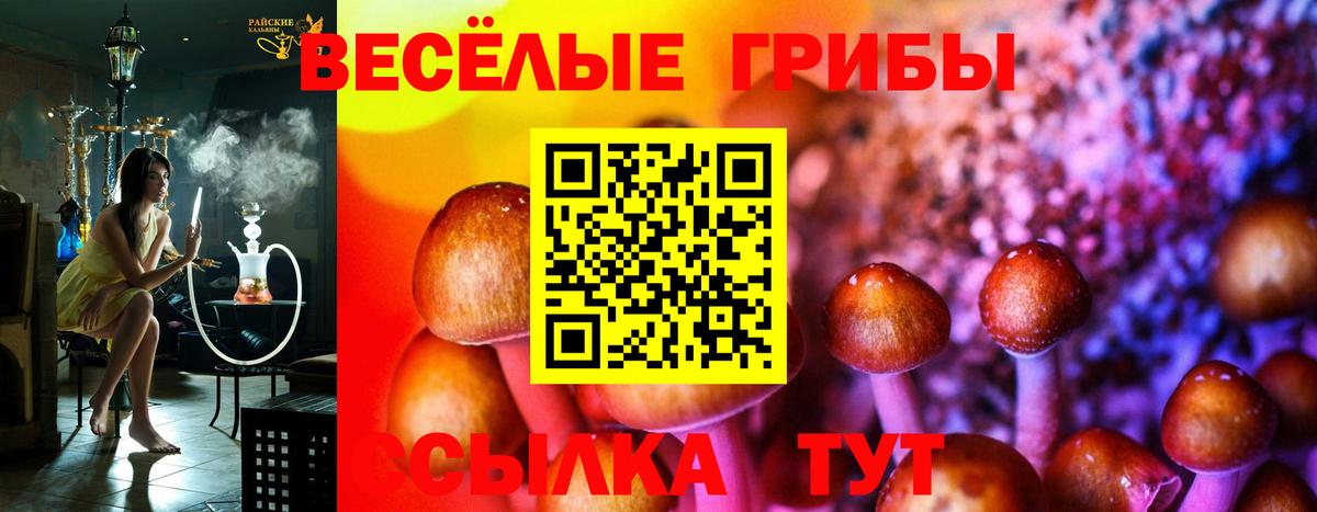 цены наркотик  Галлюциногенные грибы прущие грибы  Вход с VPN  Кандалакша 